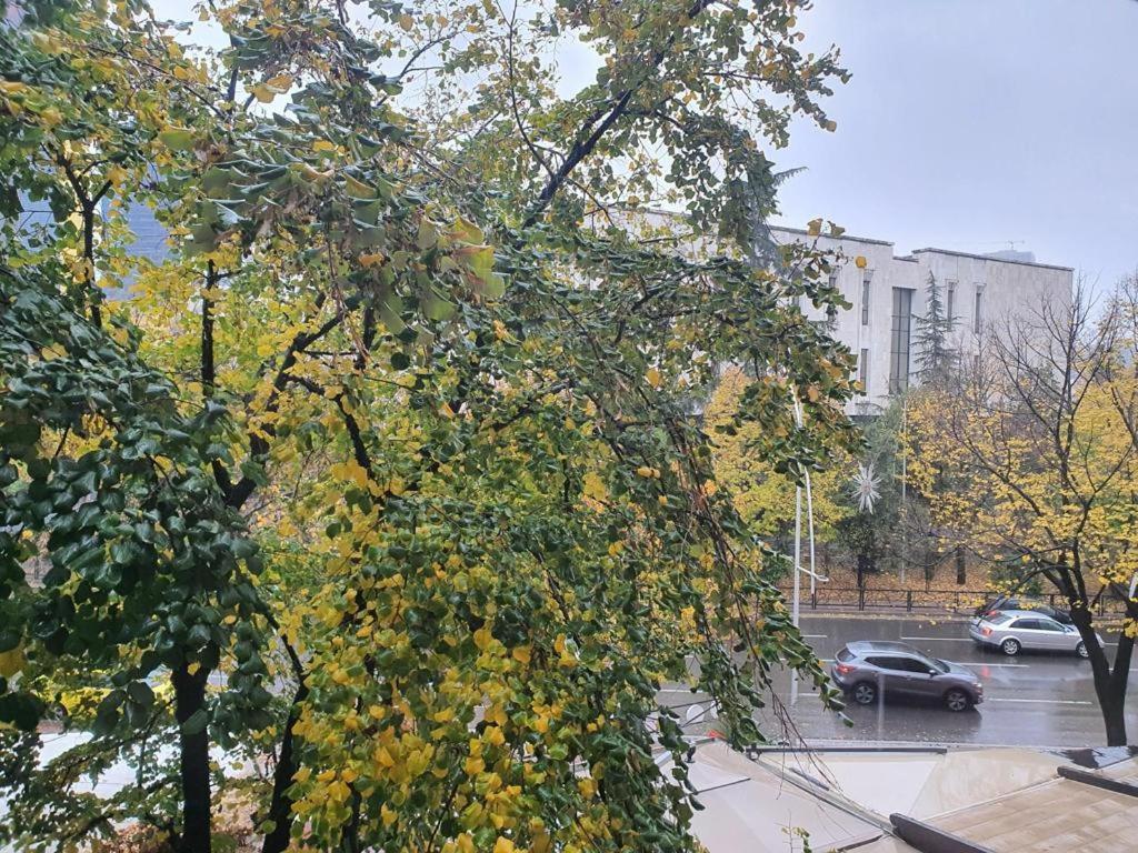 Entire Apartment, In The Center